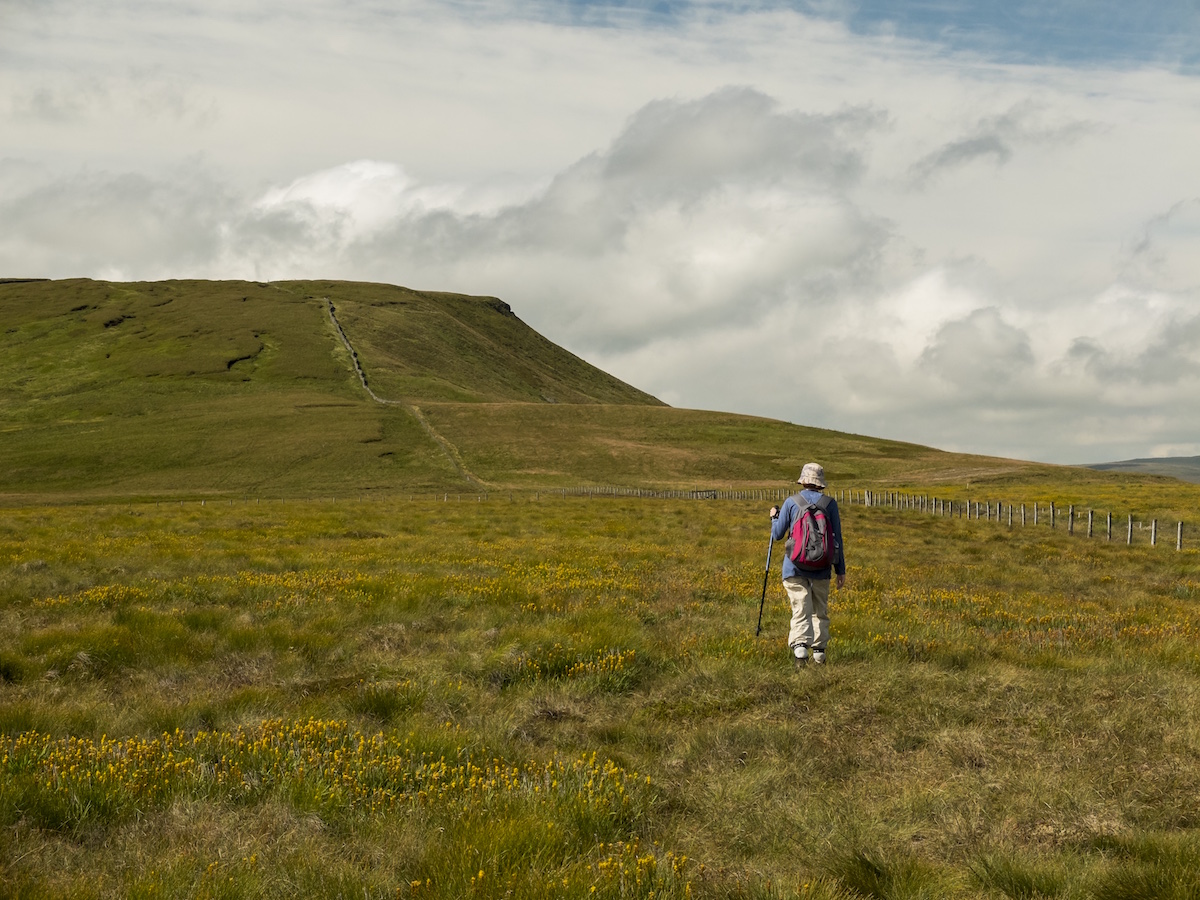 Mapped walk: Great Whernside from Coverdale | TGO Magazine