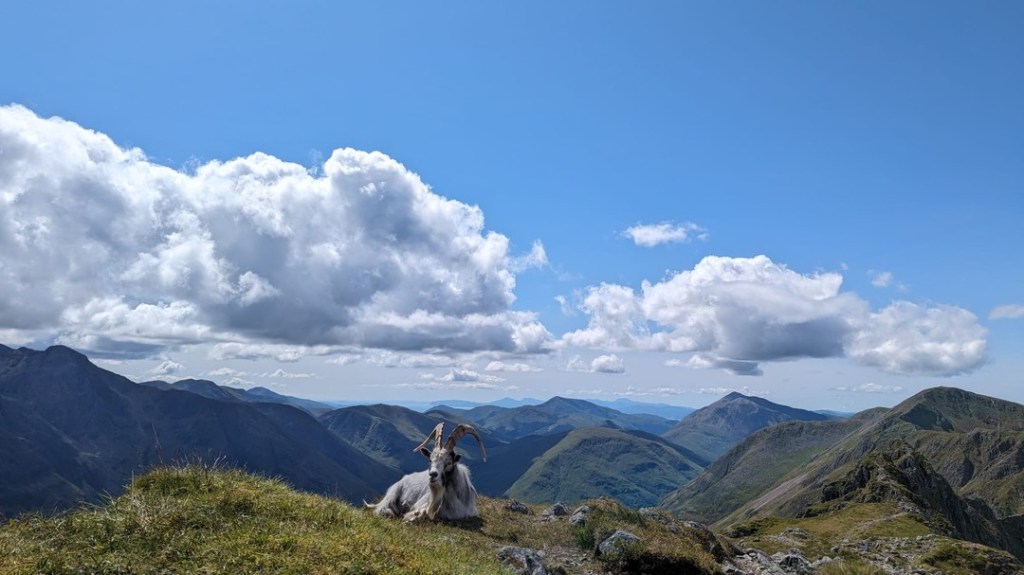 Company on the Aonach Eagach ridge_credit Lisa Robertson