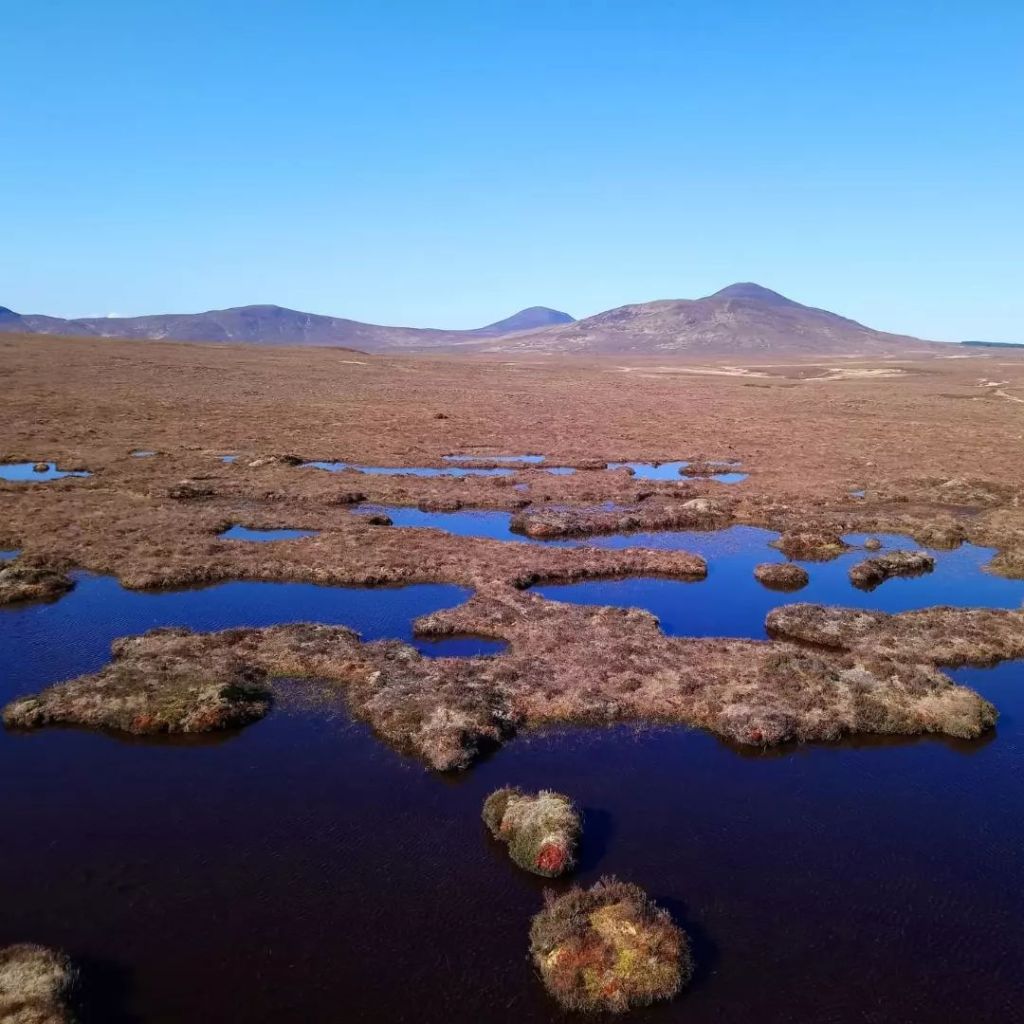 Forsinard Flows National Nature Reserve_credit LR