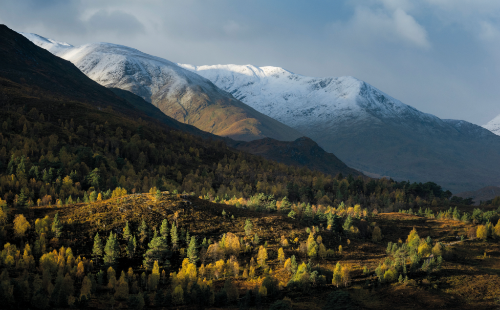 Glen Affric in Autumn. Credit: James Roddie