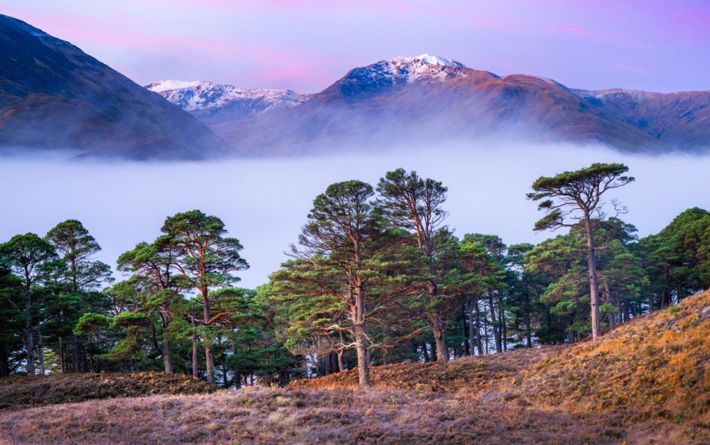 Morning mist on the Loch Affric circuit. Credit: James Roddie