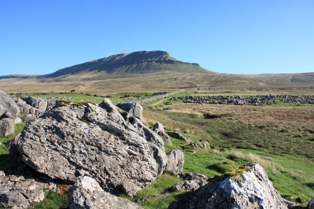 On the approach to Pen-y-ghent_0379