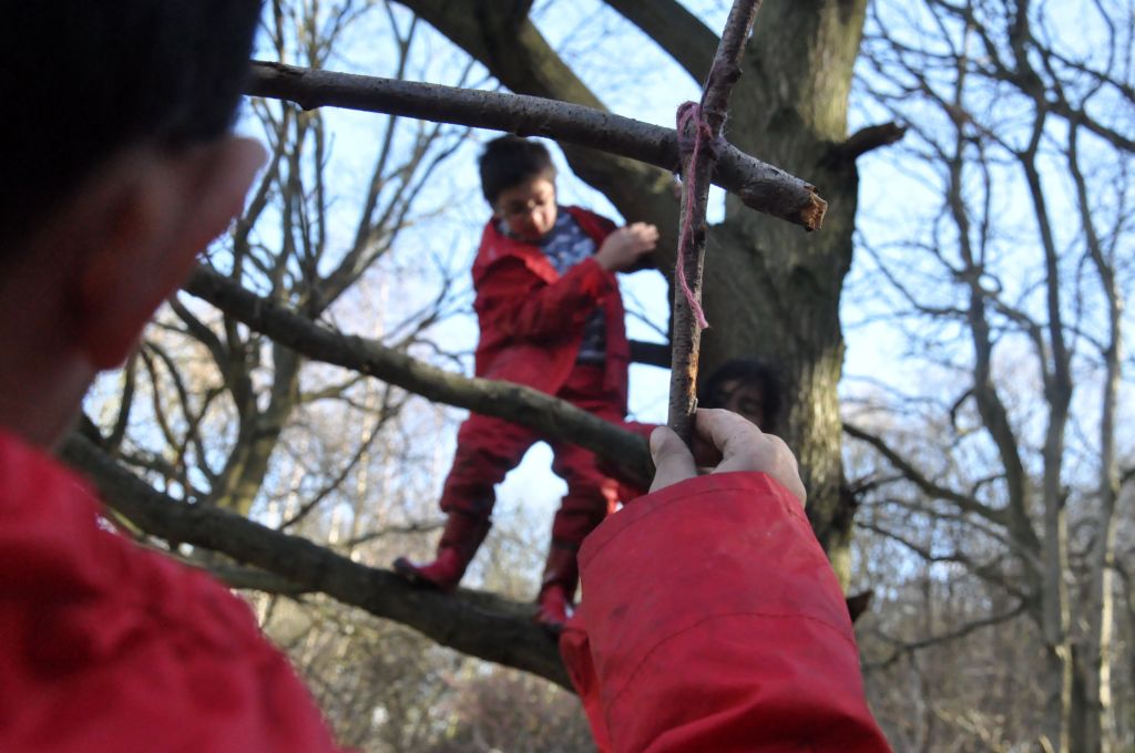 Playtime in the trees. Credit: Forest School Association