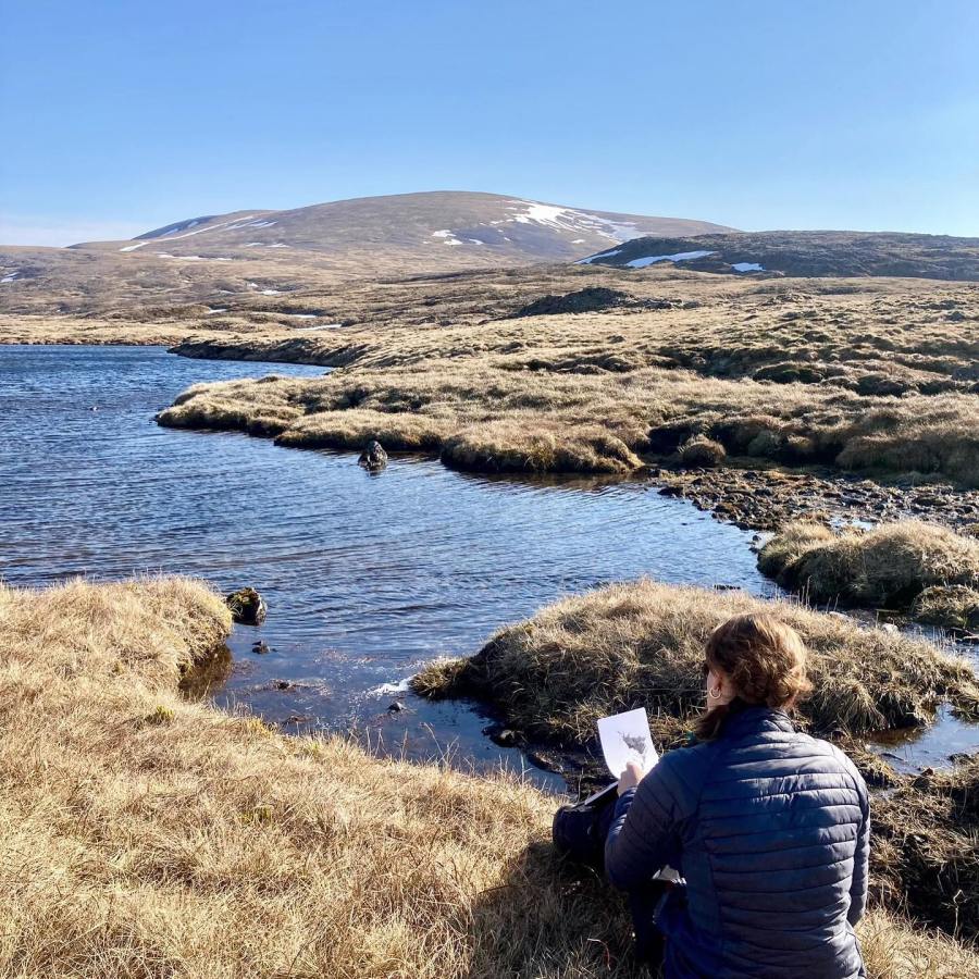 Tessa drawing in the Cairngorms_credit Tessa Simpson