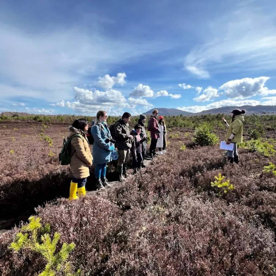 An Easter walk through the woods and onto Granish Moor. Credit: Sarah Hobbs