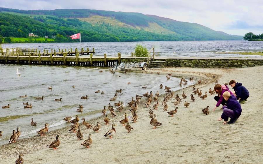 family walking holidays - Feeding the ducks in the South Lakes. Credit: Robert Hincks